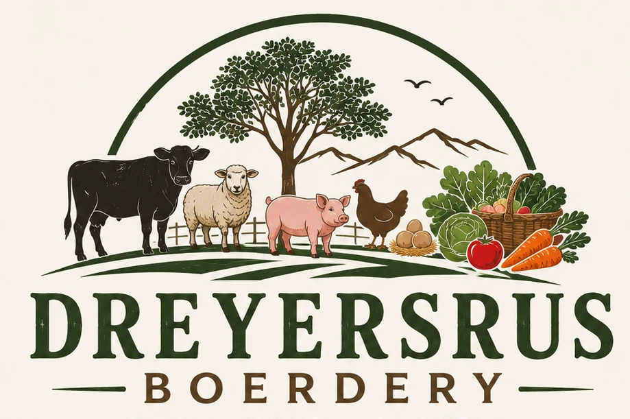 Dreyersrus